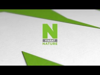 2020, polar extremes (viasat nature) 16