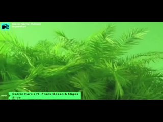 calvin harris ft. frank ocean migos - slide (mtv club) 16